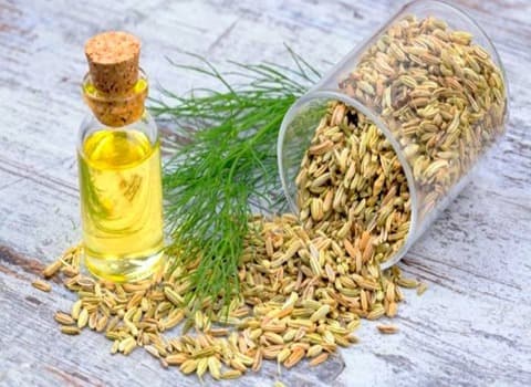 تصویر 4 از خرید و قیمت عرق رازیانه اصل + فروش صادراتی